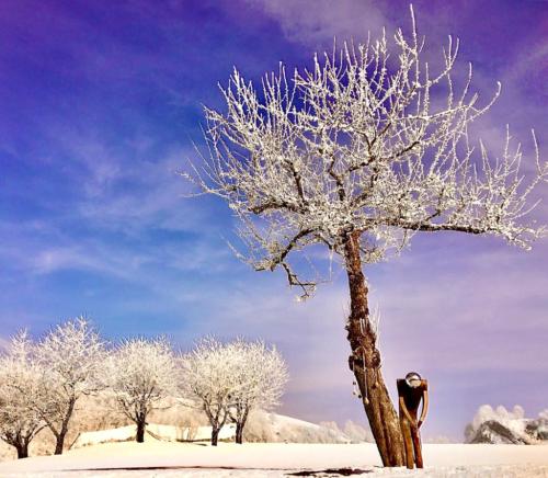 Winter auf dem Golfplatz