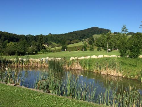 Teich Loch 2 mit Blick zum Green